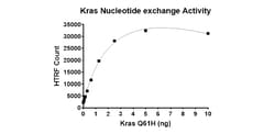 AURORA BIOLABS LLC&nbsp;Kras Q61H Nucleotide Exchange Assay Kit,100 rxn