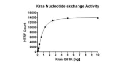 AURORA BIOLABS LLC&nbsp;Kras Q61K Nucleotide Exchange Assay Kit,384 rxn