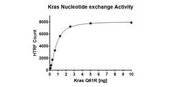 AURORA BIOLABS LLC&nbsp;Kras Q61R Nucleotide Exchange Assay Kit,100 rxn