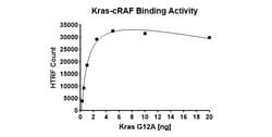 AURORA BIOLABS LLC&nbsp;Kras G12A–cRAF Binding Assay Kit,100 rxn