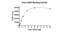 AURORA BIOLABS LLC&nbsp;Kras Q61R–cRAF Binding Assay Kit,384 rxn