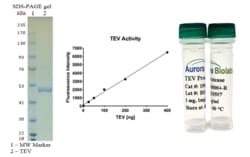 AURORA BIOLABS LLC&nbsp;TEV Protease-GST tag (Ready-to-Use), 200 ug