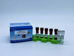 Biomiga Inc.&nbsp;Molecular Biology, PCR, Real-Time PCR, Biomiga, UTI Detection, Urinary Tract Infection, multiplex qPCR, RUO, clinical microbiology research