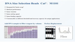Biomiga Inc.&nbsp;Molecular Biology, Library Preparation, Biomiga, DNA Size Selection Beads, magnetic bead-based, next generation sequencing, NGS cleanup