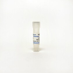 TRIBIOSCIENCE INC&nbsp;Elastase, 5MG