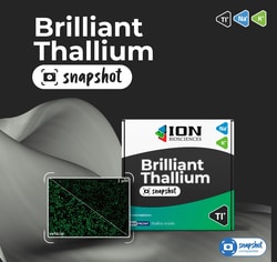 ION BIOSCIENCES&nbsp;Brilliant Thallium Snapshot Assay pIONeer kit - 2 plates