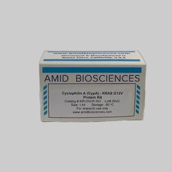 AMID BIOSCIENCES&nbsp;Amid Biosciences, CypA - KRAS G12V Protein Kit, Molecular Glue Discovery, 1 Kit