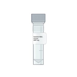 AMID BIOSCIENCES&nbsp;Amid Biosciences, Human RalGDS-RBD Protein, Recombinant, MBP-tag, 0.1 mg