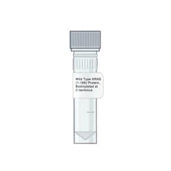 AMID BIOSCIENCES&nbsp;Amid Biosciences, Human Wild-type KRAS (1-166) Protein, Recombinant, C-terminal Biotinylated, 0.1 mg