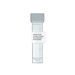 AMID BIOSCIENCES&nbsp;Amid Biosciences, Human KRAS G13D Protein, Recombinant, Biotinylated, 0.1 mg