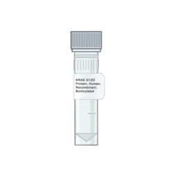 AMID BIOSCIENCES&nbsp;Amid Biosciences, Human KRAS G12D Protein, Recombinant, Biotinylated, 0.1 mg