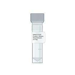 AMID BIOSCIENCES&nbsp;Amid Biosciences, Human KRAS G12D Protein, Recombinant, AviTag, 0.1 mg