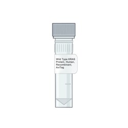 AMID BIOSCIENCES&nbsp;Amid Biosciences, Human Wild-type KRAS Protein, Recombinant, AviTag, 0.1 mg
