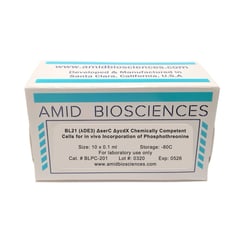 AMID BIOSCIENCES&nbsp;Amid Biosciences, BL21(DE3) Delta SerC Delta YcdX Chemically Competent Cells, 10 x 0.1 mL