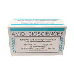 AMID BIOSCIENCES&nbsp;Amid Biosciences, BL21(DE3) Delta SerC Chemically Competent E. coli Cells, 10 x 0.1 mL