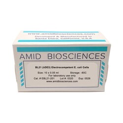 AMID BIOSCIENCES&nbsp;Amid Biosciences, BL21(DE3) Electrocompetent E. coli Cells, Recombinant Protein Expression, 10 x 0.05 mL