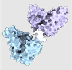 MONOD BIO INC&nbsp;His-Tag NovoBody&trade; Duo (FITC conjugate) - Twin-Strep-Tag