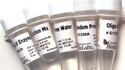 New England Biolabs, Inc. ProtoScript First Strand cDNA Synthesis Kit –