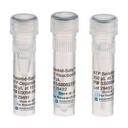 BIOSEARCH TECHNOLOGIES INC (Lucigen) Plasmid-Safe ATP-Dependent DNase,