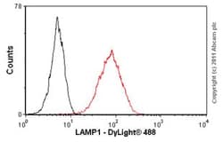 Abcam Rat monoclonal [1D4B] to LAMP1, Quantity: Each of 1