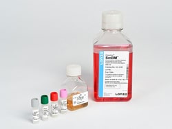 Lonza Walkersville CDM Chondrocyte Differentiation Medium BulletKit, Quantity: