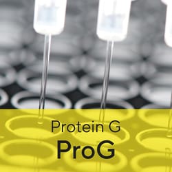 Sartorius&nbsp;BIOSENSOR/PROTEIN G PACK