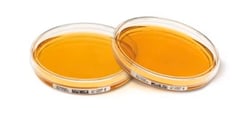 MilliporeSigma&nbsp;Tryptic Soy Agar - ICR 30 ml (03075e) 120 pack