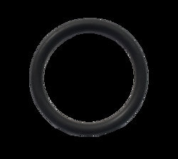 Perkin Elmer US LLC Viton Torch O-Ring, 20.3 mm I.D. for Optima 2x00/4x00/5x00/7x00 DV/8x00 & Avio 200/500