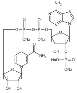 Enzo Life Sciences NADPH . tetrasodium salt, (50mg), CAS Number: 2646-71-1,