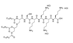 Invivogen Pam3CSK4 Synthetic triacylated lipopeptide; TLR2/TLR1 agonist,