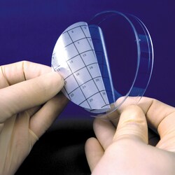 USA Scientific Inc&nbsp;32-square grid PetriSticker