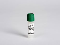 Lonza Walkersville hEGF - Human Epidermal Growth Factor, Quantity: Each
