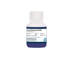 Boston Bioproducts Inc Laemmli SDS-Sample Buffer (6X, Non-Reducing) - 25ml,