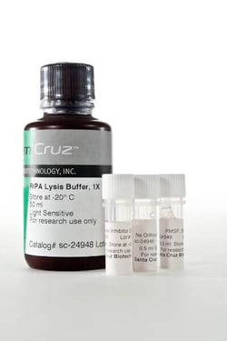 Santa Cruz Biotechnology RIPA BUFFER-50ML, Quantity: Each of 1