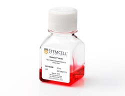 STEMCELL Technologies MethoCult H4100, Size: 40 mL, Quantity: Each of 1