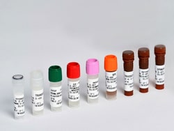 Lonza Walkersville BEGM Bronchial Epithelial SingleQuots Kit, Quantity: