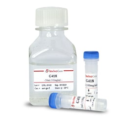 Invivogen G418 5 G (100 MG/ML), Quantity: Each of 1