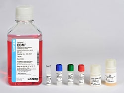 Lonza Walkersville EGM Endothelial Cell Growth Medium BulletKit, Quantity: