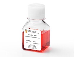 STEMCELL Technologies MethoCult H4230, Size: 80 mL, Quantity: Each of 1