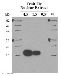 Abcam Mouse monoclonal [mAbcam 1220] to Histone H3 (di methyl K9) - ChIP