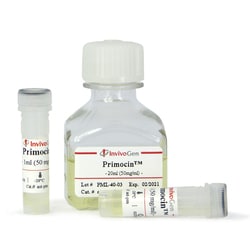 Invivogen Primocin- Antimicrobial agent for primary cells, 1 g (1 x 20