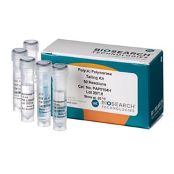 BIOSEARCH TECHNOLOGIES INC (Lucigen) Poly(A) Polymerase Tailing Kit, 50