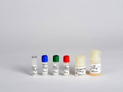 Lonza Walkersville EGM Endothelial Cell Growth Medium SingleQuots Kit