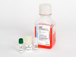Lonza Walkersville&nbsp;PNGM Primary Neuron Growth Medium BulletKit