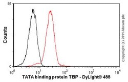 Abcam Mouse monoclonal [1TBP18] to TATA binding protein TBP - ChIP Grade,