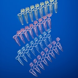 USA Scientific Inc 0.2 mL PCR 8-tube strip with indiv. attached caps, mixed,