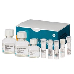 BIOSEARCH TECHNOLOGIES INC (Lucigen) MasterPure Yeast RNA Purification