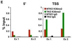 Abcam Rabbit IgG, polyclonal - Isotype Control, Quantity: Each of 1