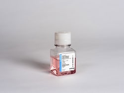 Lonza Walkersville HEPES Buffered Saline Solution - 100 ml, Quantity: Each