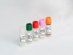 Lonza Walkersville&nbsp;KGM Keratinocyte Growth Medium SingleQuots Supplements and Growth Factors